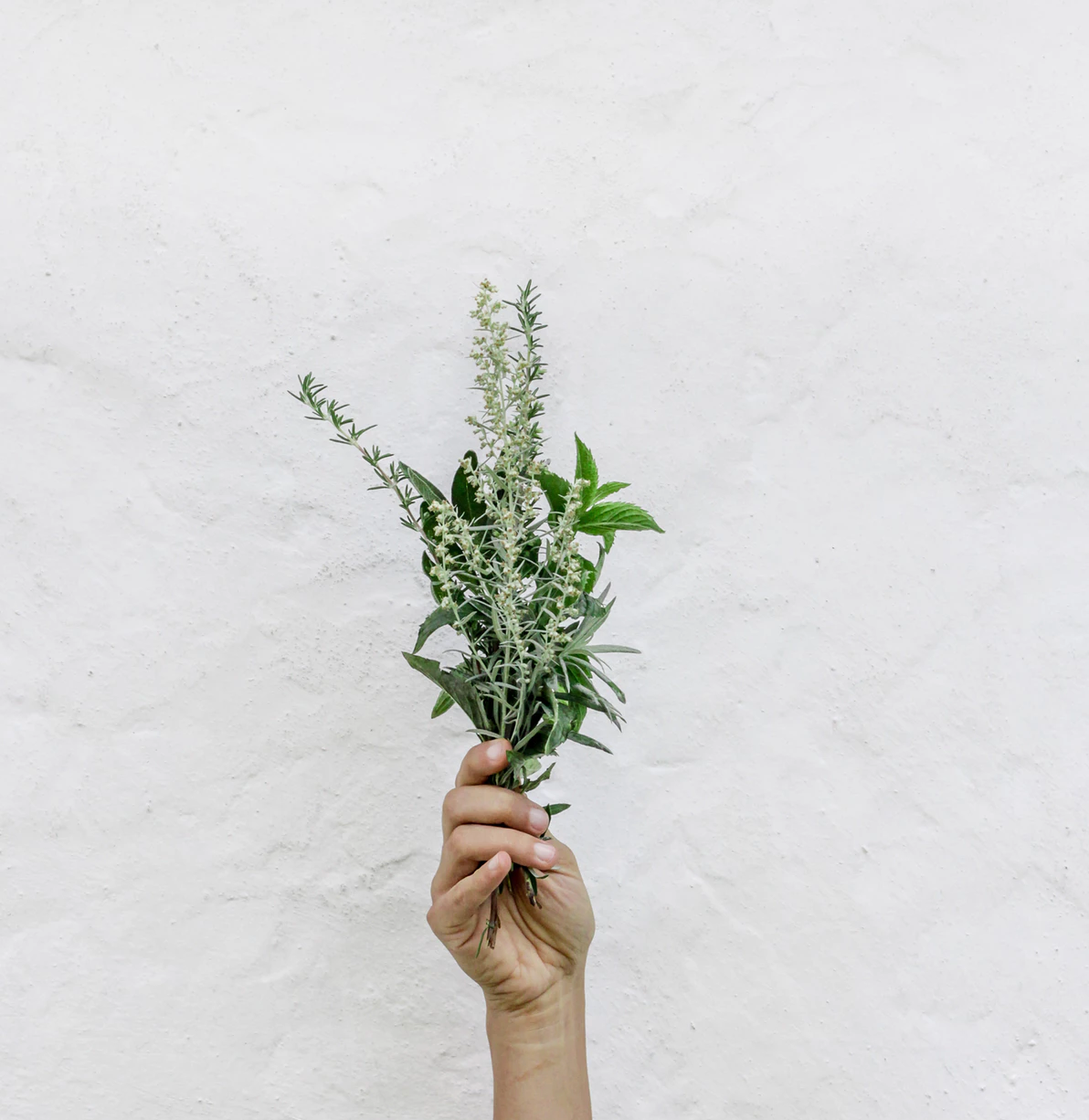 An introduction to Ayurveda