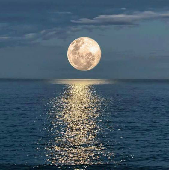 Hananko I AM full moon