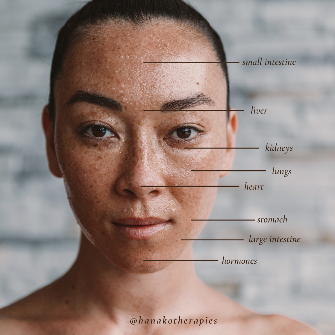 Face Mapping: What your skin might be telling you