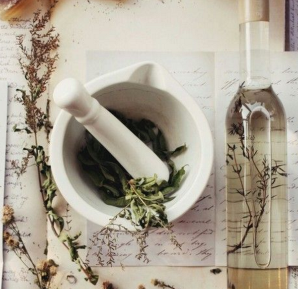 What is plant medicine?