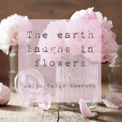Flower Power