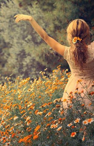 Travel light and fly free