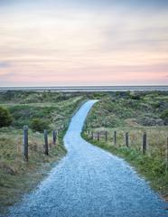 The Birth of Hanako Therapies